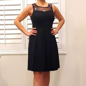 NWT fit and flare dress